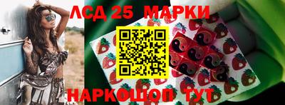 дживик Моздок