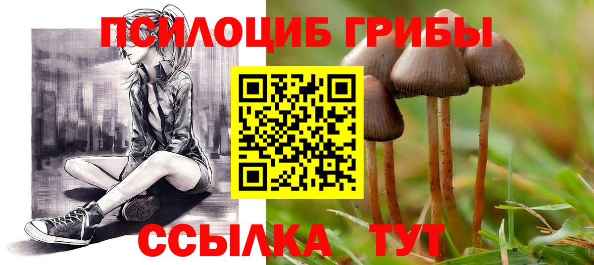 Галлюциногенные грибы мицелий Великий Устюг