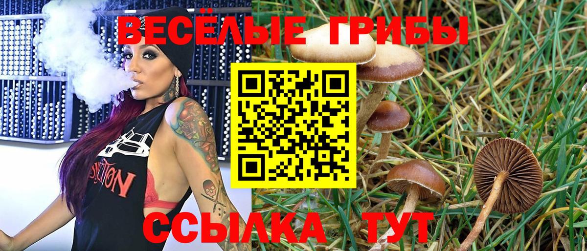 Псилоцибиновые грибы ЛСД  где купить   Псилоцибиновые грибы мицелий  Великий Устюг  Вход с VPN 